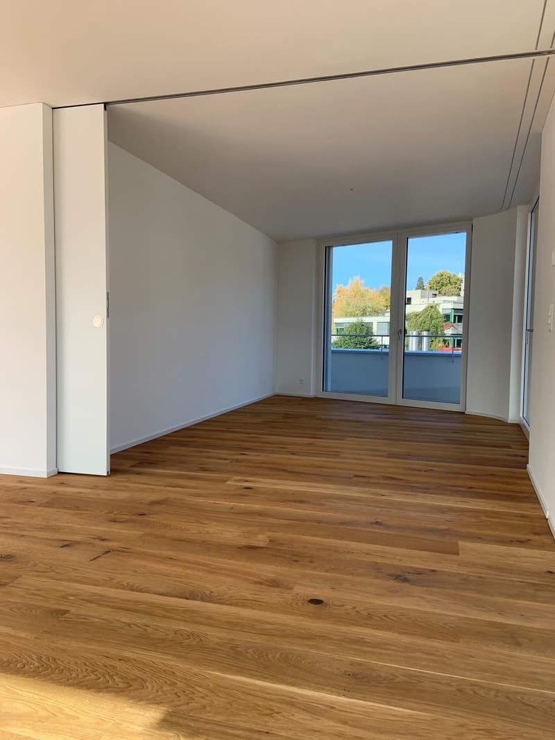 Exklusive Attikawohnung mit Blick auf den Pilatus und grosser Terrasse! (9)