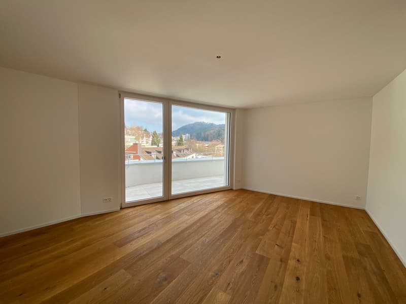 Exklusive Attikawohnung mit Blick auf den Pilatus und grosser Terrasse! (8)