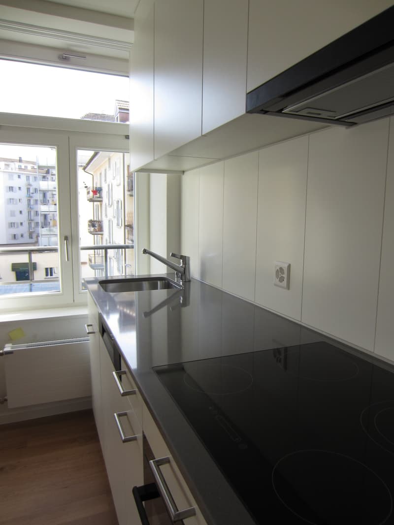 Moderne Wohnung im beliebten Tribschenquartier (2)