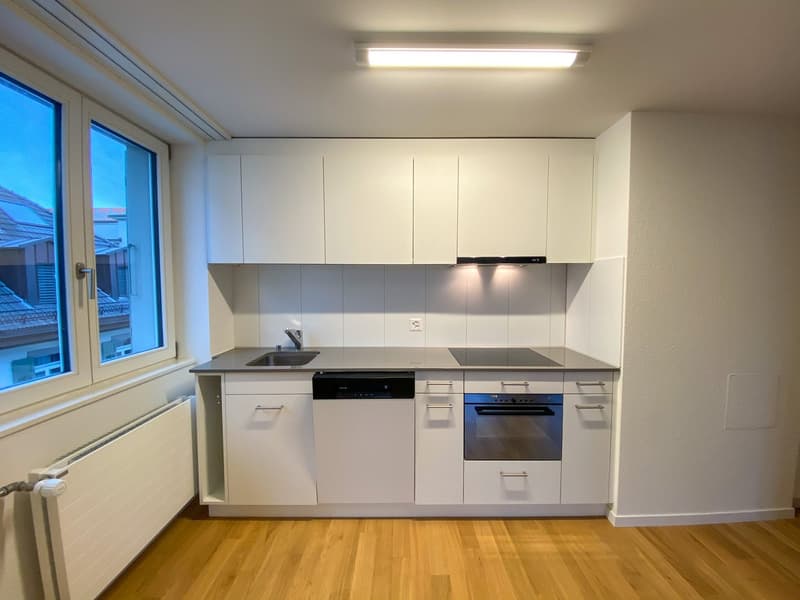 Moderne Wohnung im beliebten Tribschenquartier (3)