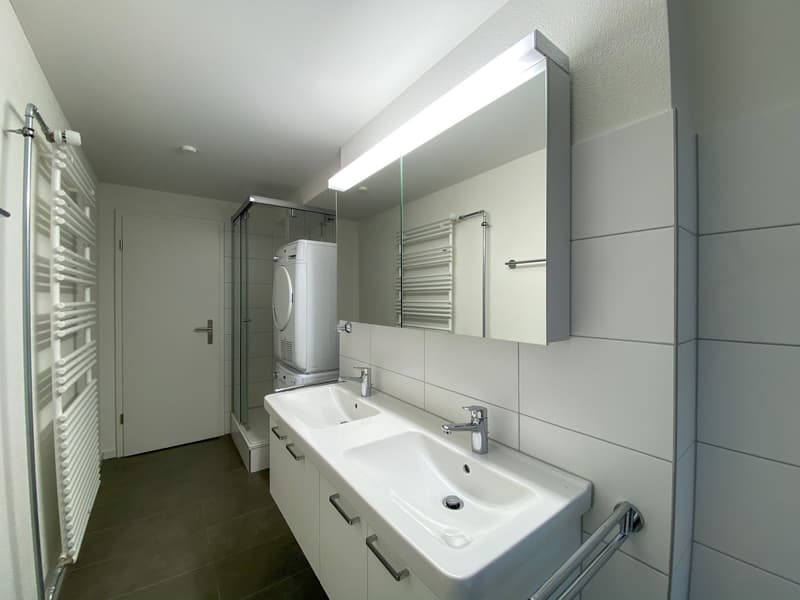 Moderne Wohnung im beliebten Tribschenquartier (4)