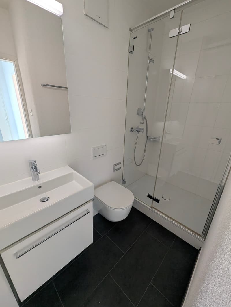 Helle Attikawohnung mit grossem Balkon (7)