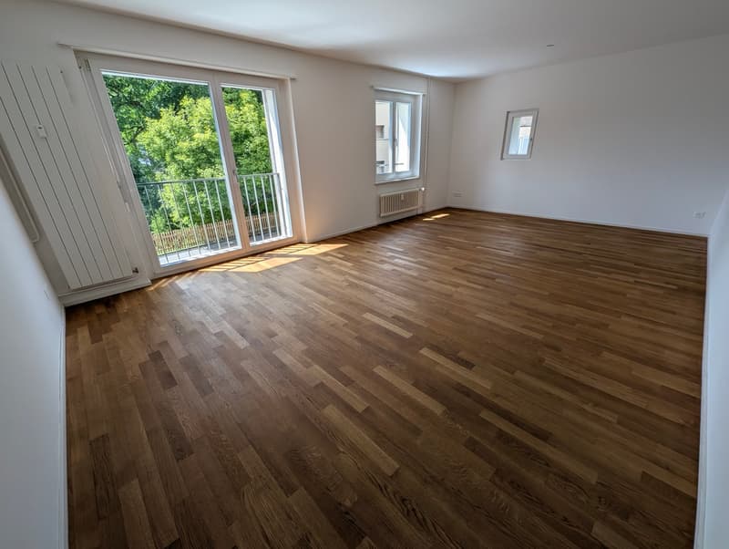 Charmante 3.5-Zimmerwohnung im St.Karli-Quartier (1)