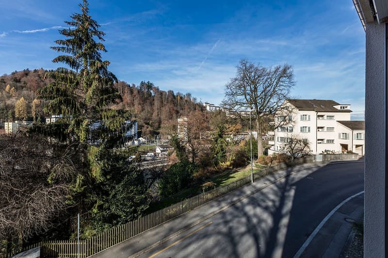 Charmante 3.5-Zimmerwohnung im St.Karli-Quartier (8)
