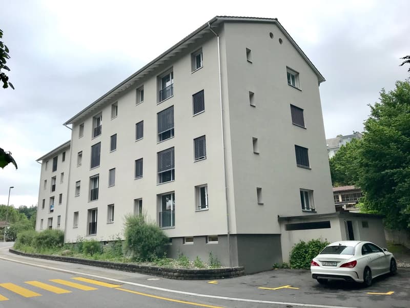 Charmante 3.5-Zimmerwohnung im St.Karli-Quartier (9)