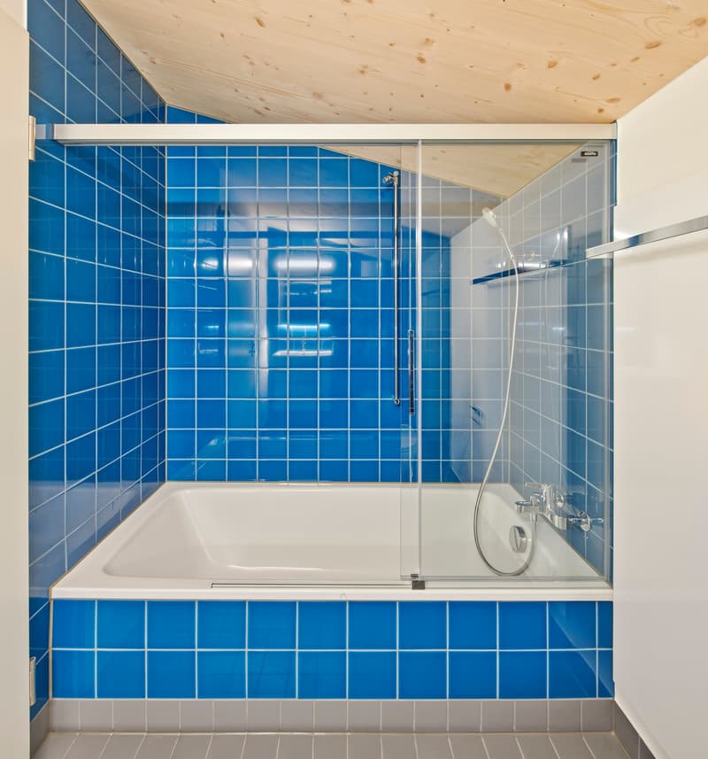 Alte Post Wilen - exklusive Dachwohnung mit Seesicht (12)