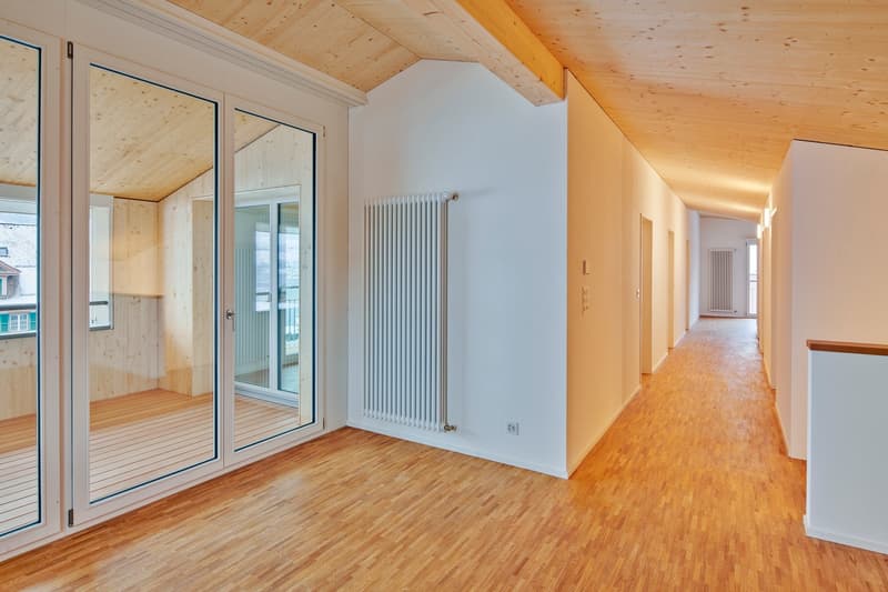 Alte Post Wilen - exklusive Dachwohnung mit Seesicht (3)