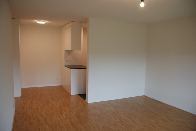 Wohnzimmer/Essbereich