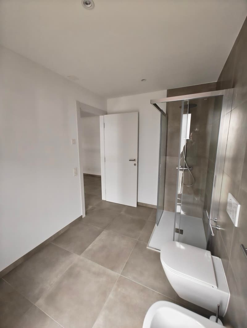 modern design, tiled floor, white walls, white door, glass walk-in shower, shower head, white toilet, white sink