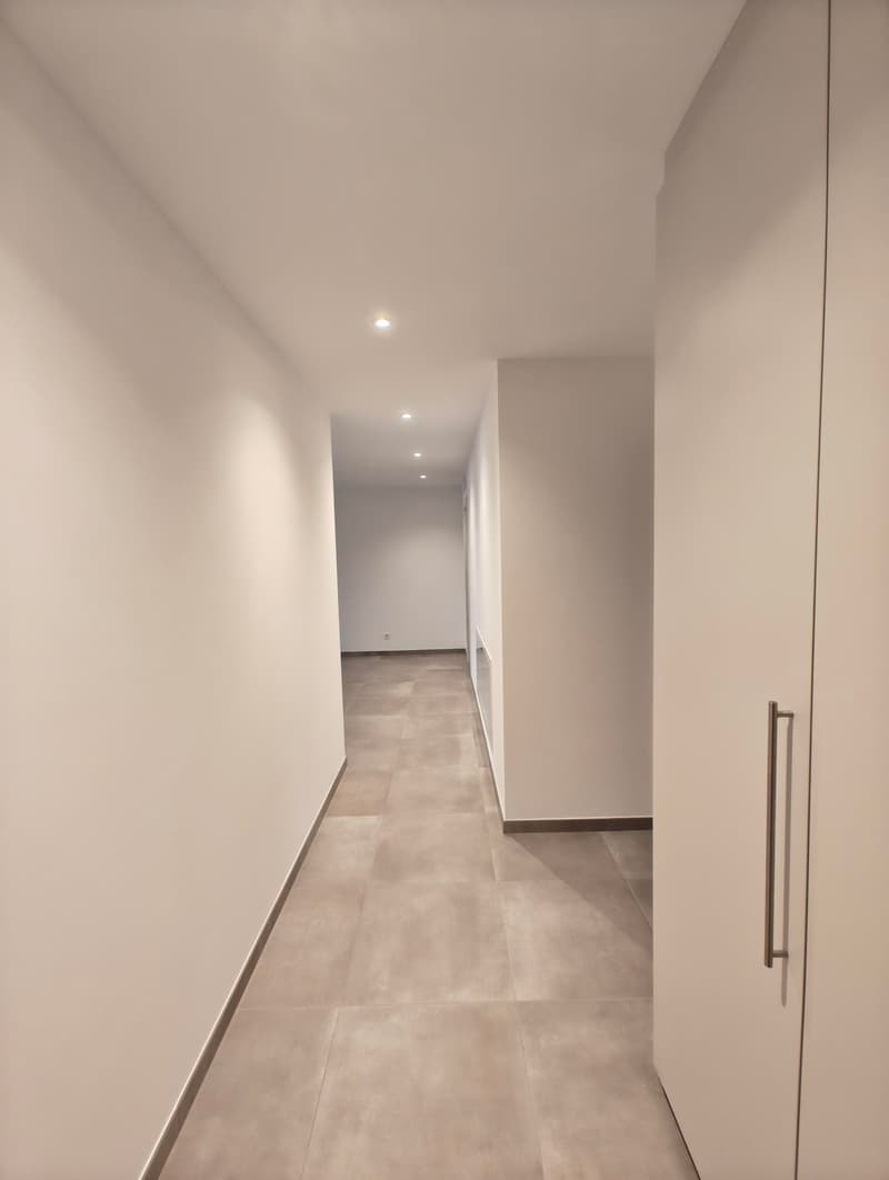 Elegante appartamento 4.5 locali a Lamone (2)