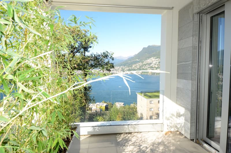 Appartamento 2.5 locali con spettacolare vista lago a Lugano Paradiso (2)