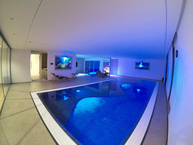 Villa a Montagnola (8)