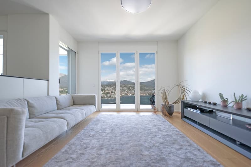 Spacious living room with large windows offering a scenic view of the city and mountains, hardwood floors, gray sofa, TV stand, and decorative plants.