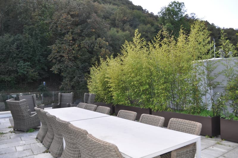 Outdoor dining area with a large white table and wicker chairs, surrounded by lush greenery and trees. The area appears to have a balcony or terrace overlooking the natural landscape.