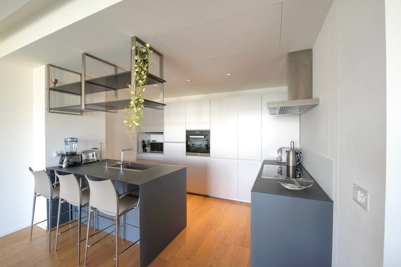 Modern, open-concept kitchen with white cabinets, stainless steel appliances, a large island with bar seating, and a hanging plant feature above the island.