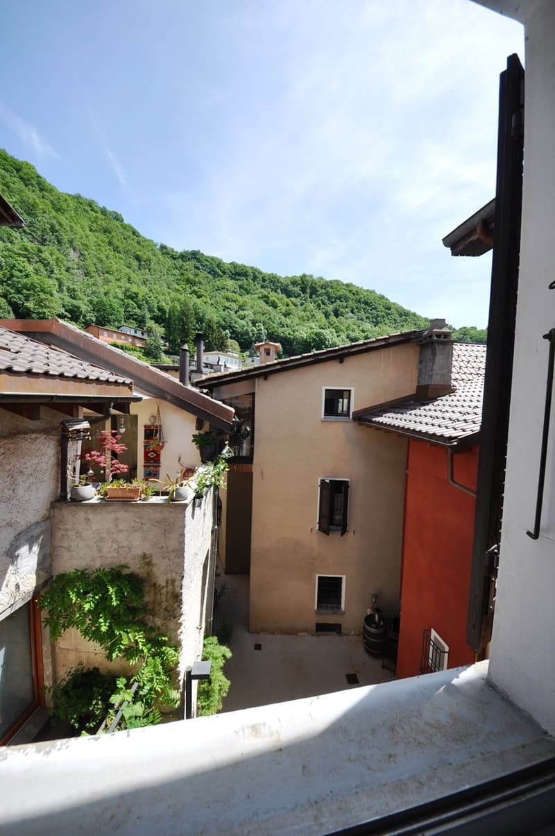 3-story stone buildings, each with multiple windows, small patios with plants, narrow alleyway between buildings, lush greenery in background, distant view of houses and trees on hills