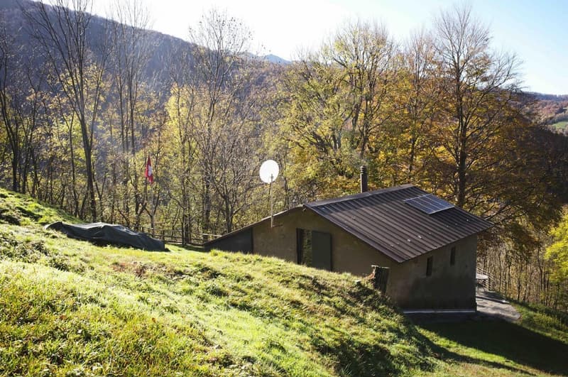 small cabin, green metal roof, solar panels, surrounded by trees, flag, mountain background