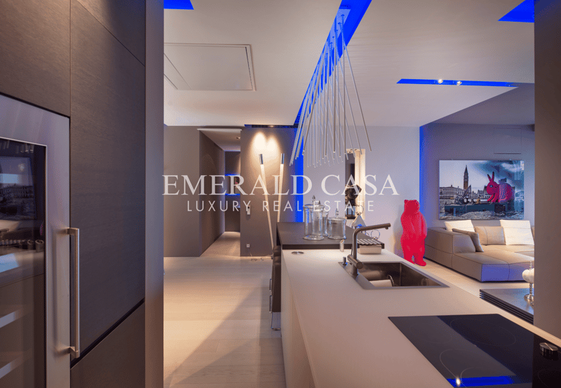Modern office space with sleek kitchen counter, stainless steel appliances, and Emerald Casa Luxury Real Estate branding on the wall
