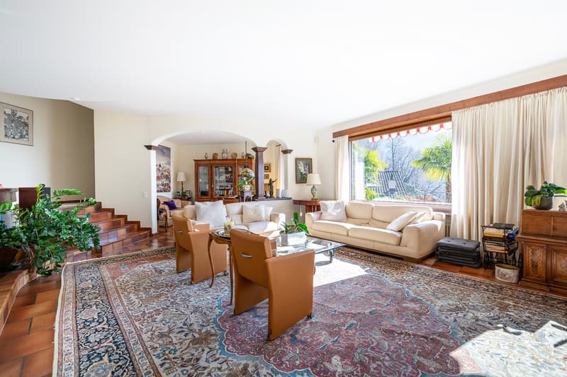 Spacious living room with large windows, hardwood floors, ornate area rug, wooden furniture, and a fireplace. The room has a cozy and elegant feel with potted plants and decorative items adding to the ambiance.