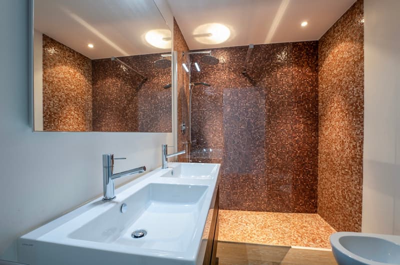 Elegante 4.5 Locali con Terrazze e Vista Lago (6)