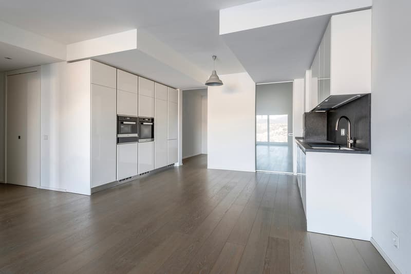 Elegante 4.5 Locali con Terrazze e Vista Lago (4)