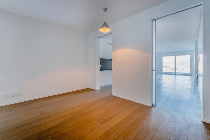 Elegante 4.5 Locali con Terrazze e Vista Lago (3)