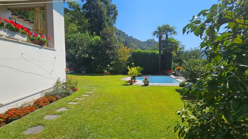 House with white walls, red flowers in planters, a grassy garden, paved path, pool with white edge, surrounded by greenery and plants, distant view of a mountain