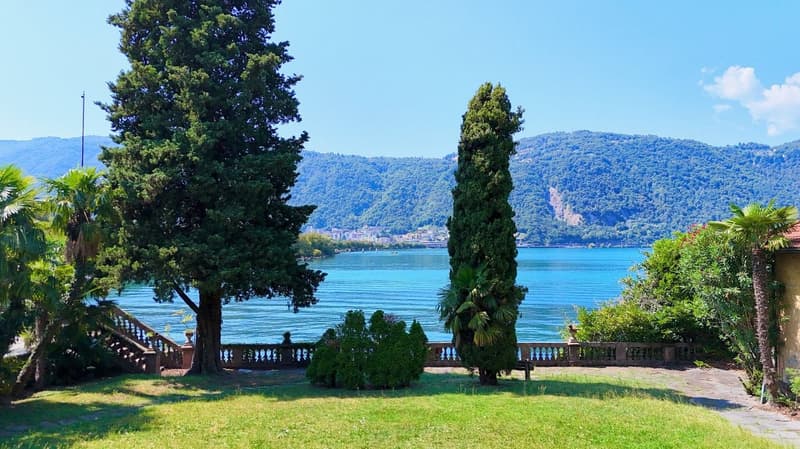 Green garden with lake view, large trees, wooden railing, grassy ground, clear blue sky