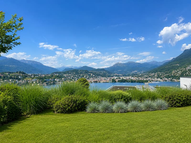 Appartamento con giardino e vista lago (5)