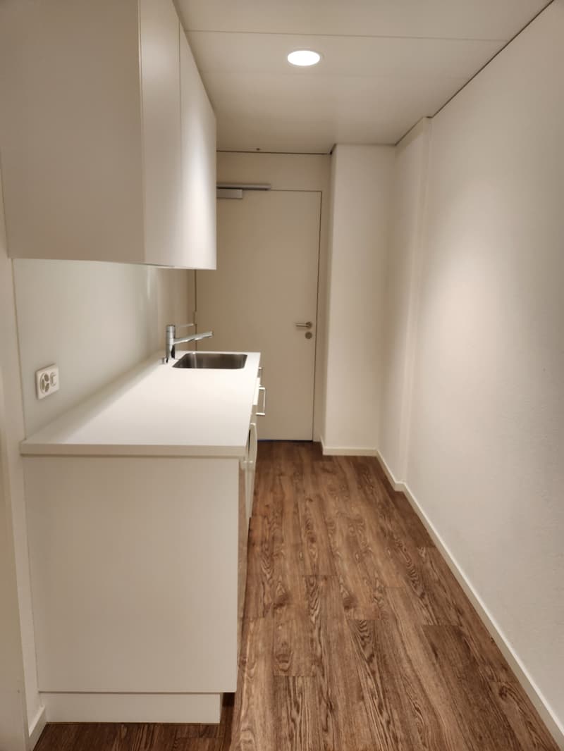 minimalist style, white cabinets, stainless steel sink, wooden floor, single light on ceiling