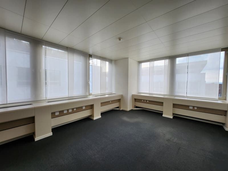 empty room, white walls, large windows, carpeted floor