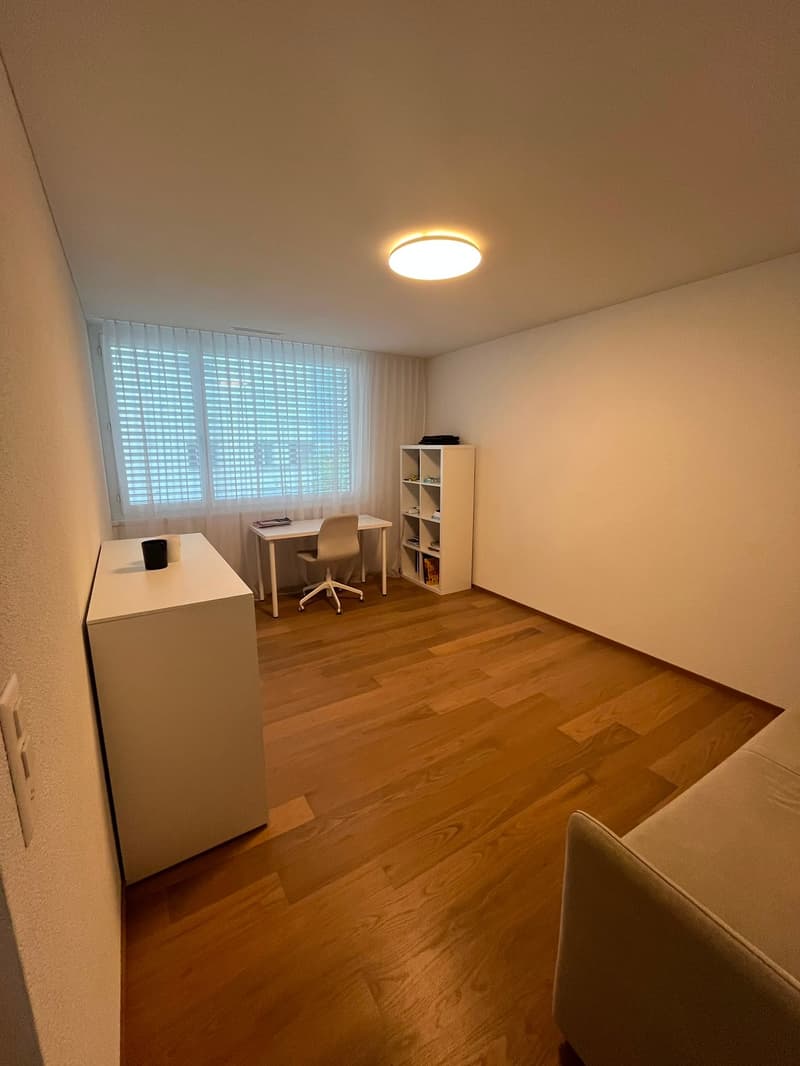WOHNEN AM GRIENBACH - freistehendes 5.5-Zimmer-Einfamilienhaus in ruhigem Wohnquartier! (10)