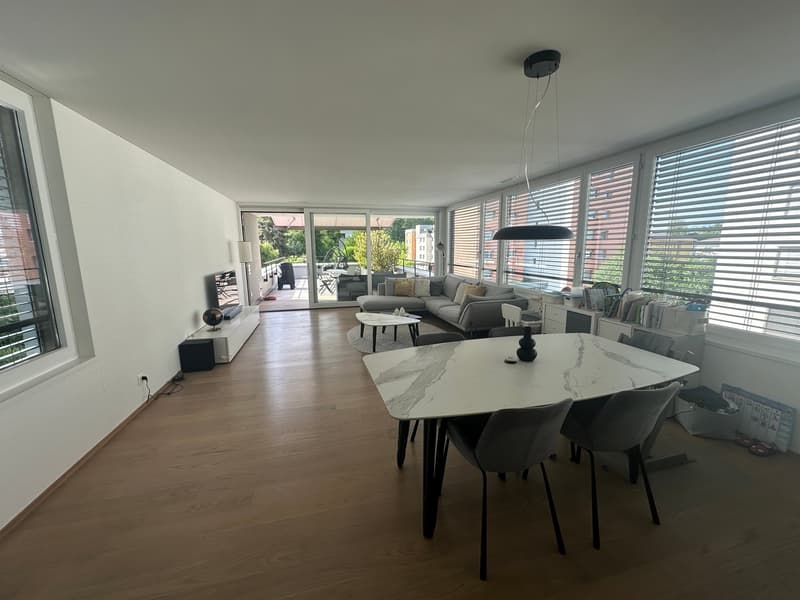 WOHNEN AM GRIENBACH - freistehendes 5.5-Zimmer-Einfamilienhaus in ruhigem Wohnquartier! (3)