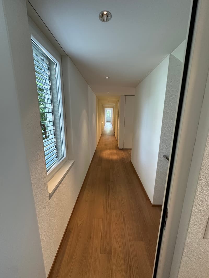 WOHNEN AM GRIENBACH - freistehendes 5.5-Zimmer-Einfamilienhaus in ruhigem Wohnquartier! (14)