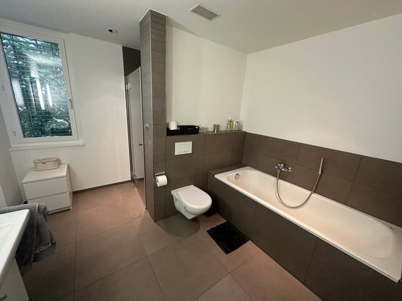WOHNEN AM GRIENBACH - freistehendes 5.5-Zimmer-Einfamilienhaus in ruhigem Wohnquartier! (11)