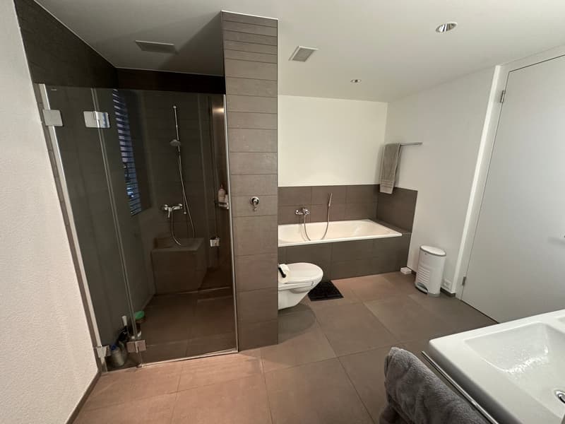 WOHNEN AM GRIENBACH - freistehendes 5.5-Zimmer-Einfamilienhaus in ruhigem Wohnquartier! (12)