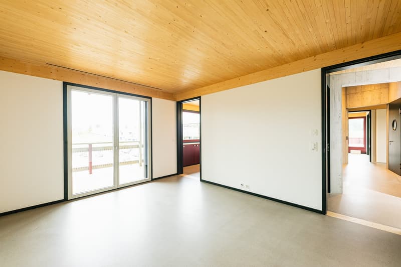 5.5-Zimmer-Dachgeschosswohnung mit aussergewöhnlicher Architektur (5)