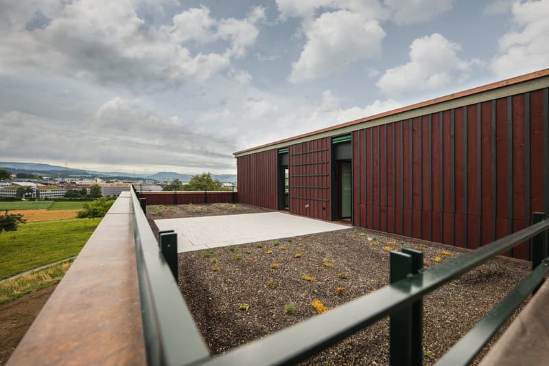 5.5-Zimmer-Dachgeschosswohnung mit aussergewöhnlicher Architektur (2)