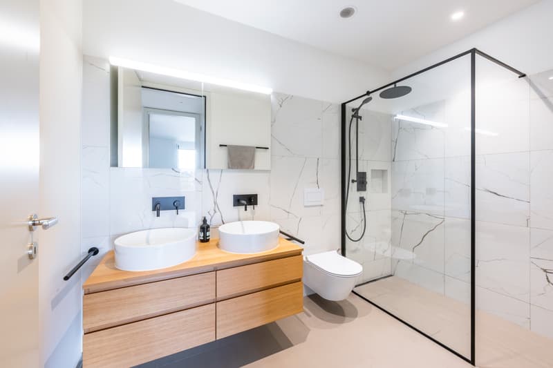 Wohnung 2.5 Zimmer (7)