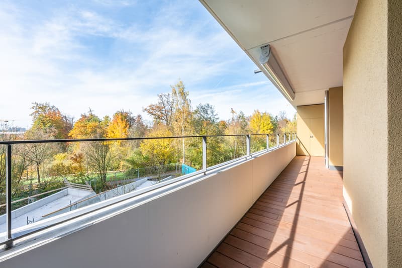 Wohnung 2.5 Zimmer (9)