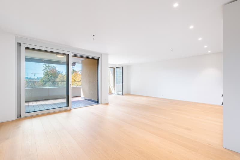 Wohnung 2.5 Zimmer (6)