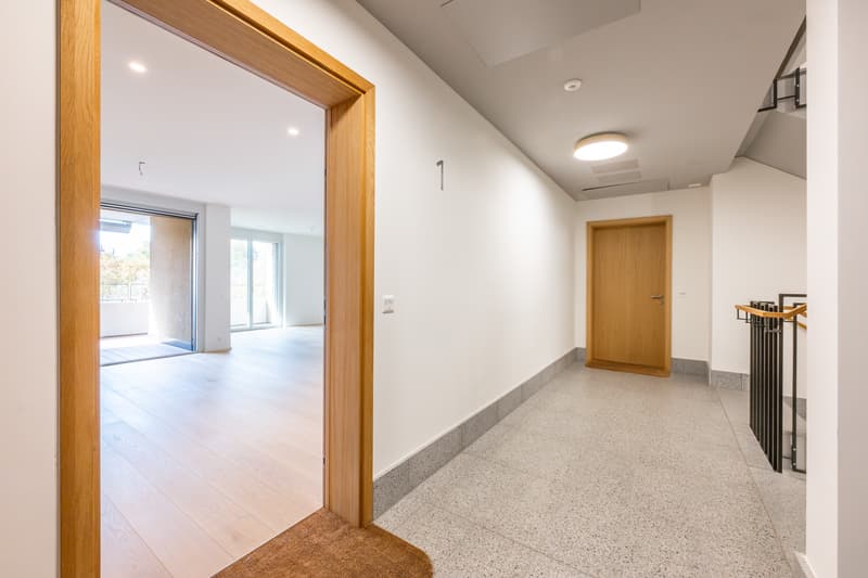 Wohnung 2.5 Zimmer (2)