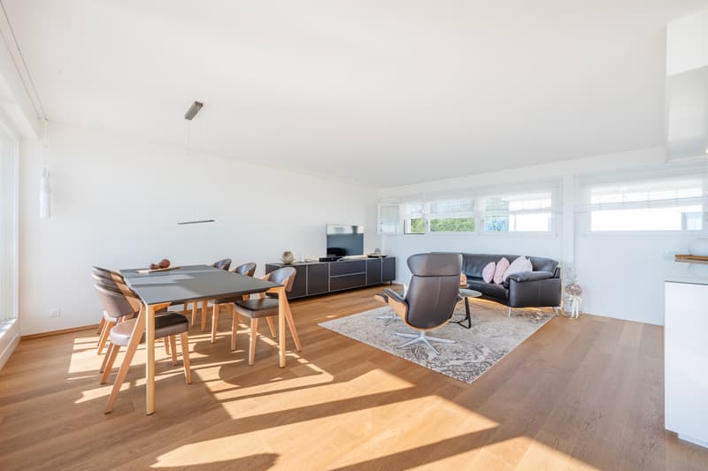 Doppeleinfamilienhaus 6.5 Zimmer mit Studio (5)