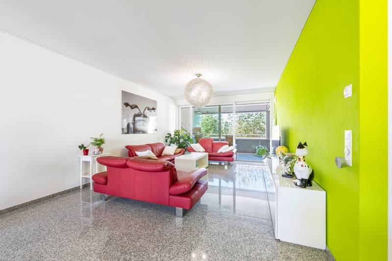 Wohnung 4.5 Zimmer (6)