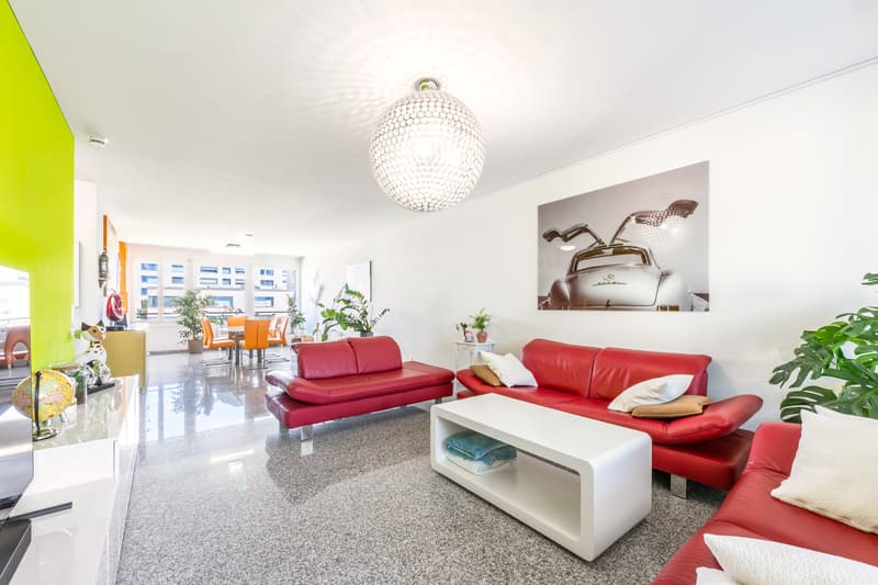 Wohnung 4.5 Zimmer (4)