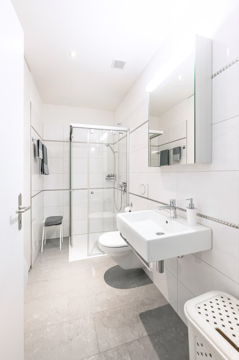 Wohnung 4.5 Zimmer (3)