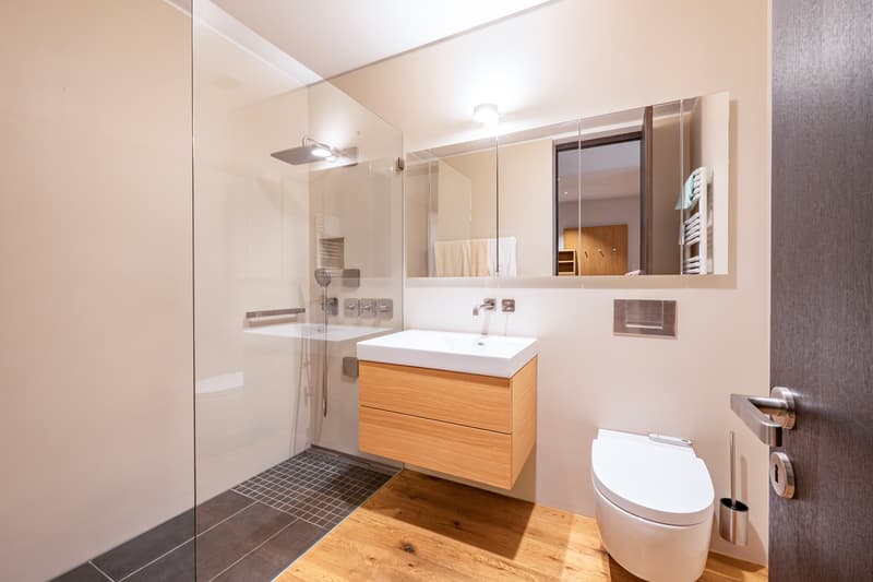Möblierte Wohnung 2.5 Zimmer (9)