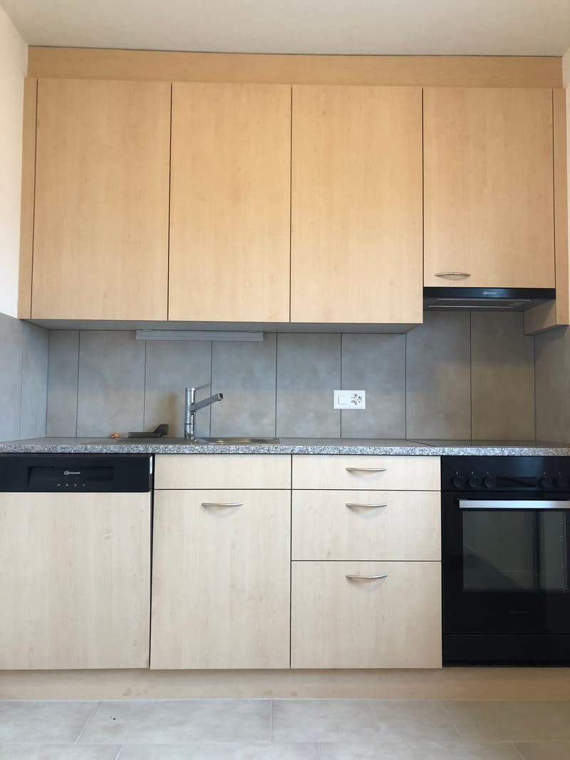modern kitchen with white walls, wooden cabinets, granite countertop, dishwasher, washing machine, black oven, granite sink with silver faucet