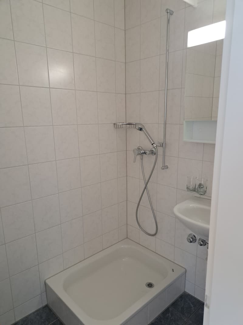 Small bathroom with walk-in shower, sink, and white tiles.