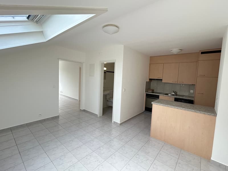 Gemütliche 2.5-Zimmer-Dachwohnung in Bettlach – ruhige Lage mit viel Sonne (7)